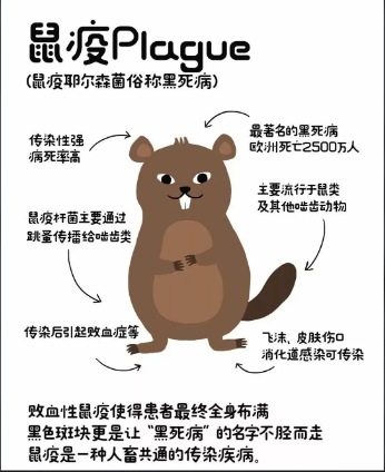 “女子買(mǎi)了100多張粘鼠板，一只老鼠也沒(méi)...